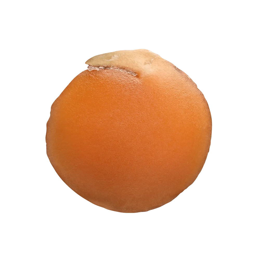 Lenticchie Rosse Decorticate